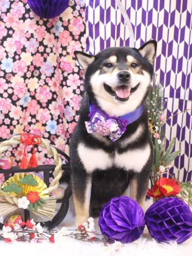 20250119ココくん